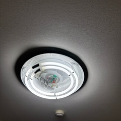 シーリングライト
の画像