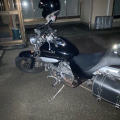 エリミネーター250vの画像