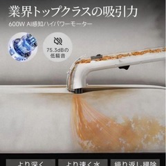 リンサークリーナー❣️18000Pa超吸引 カーペットクリーナー B300Proの画像
