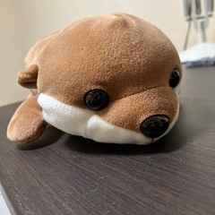 カワウソの画像