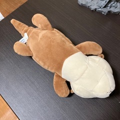 カワウソの画像