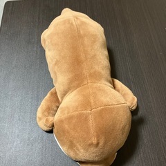 カワウソの画像