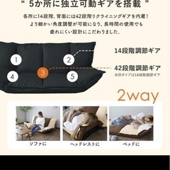 【美品】2人掛けローソファベットの画像