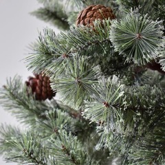 クリスマスツリー　箱あり　120cmの画像