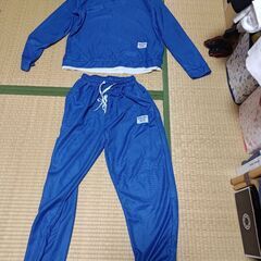 ミャクミャクなりきりセットの画像