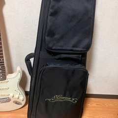 MOMOSE MST2-STD/NJ モモセ ストラトキャスター　3.2キロの画像