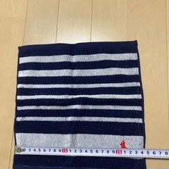 ⑨ハンドタオル　タオル　ハンカチ　タオルハンカチ　ミニタオル　ブランド　ラルフローレン　Ralph Lauren　ポロ　polo  新品未使用　新古品の画像