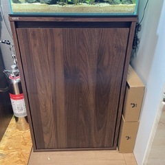 アクアリウムの画像