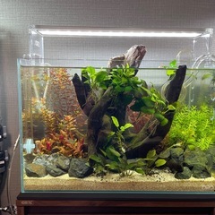 アクアリウムの画像