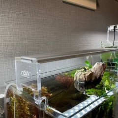 アクアリウムの画像
