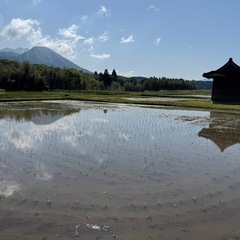 令和７年　新米　あきげしき　玄米30キロ 南阿蘇産　数量限定の画像