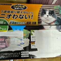 猫 システムトイレの画像