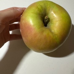果物セットの画像