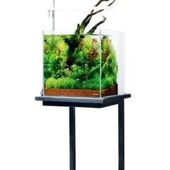 熱帯魚などアクアリウム関係のお引き取り🐟