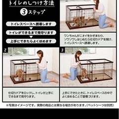 ビバホーム✖︎petioトイレのしつけが出来る　レギュラーサイズの画像