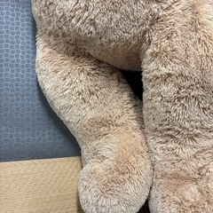 135cm前後コストコ　ぬいぐるみ　大きい　タグ付きテディーベア　クマ　くま　53インチの画像