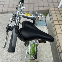 キャリーミーCarryMe グリーンの画像