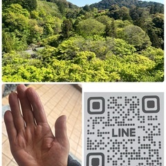 🔮手相鑑定🔮