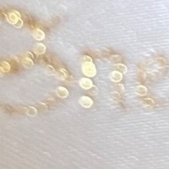 sneep dip スカートの画像