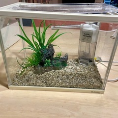 30cm水槽セットの画像