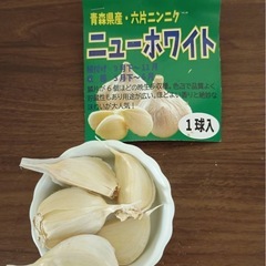 家庭菜園に！余剰にんにくの種3種セット（ニューホワイト/熊本産/葉ニンニク）①
の画像