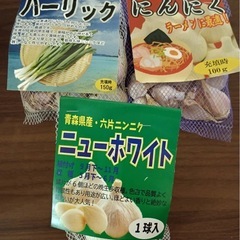 家庭菜園に！余剰にんにくの種3種セット（ニューホワイト/熊本産/葉ニンニク）①
の画像