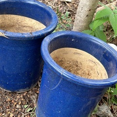 植木鉢(ジャンク扱い)の画像