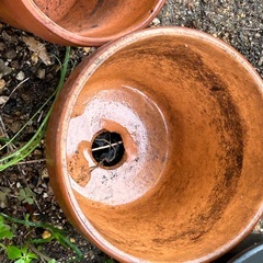植木鉢(ジャンク扱い)の画像
