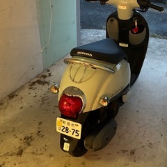 10/26日21時まで出品　ホンダ ジョルノ プコブルー　ワンオーナー　AF77の画像