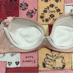 ワコール　ブラジャーの画像