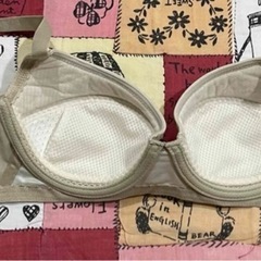 ワコール　ブラジャーの画像