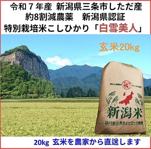 数量限定キャンペーン！　令和7年産新米　減農薬　新潟こしひかり玄米20kg 新潟県三条市旧しただ村産　1等米 新潟県認証　特別栽培米100% 白雪美人　グルテンフリー