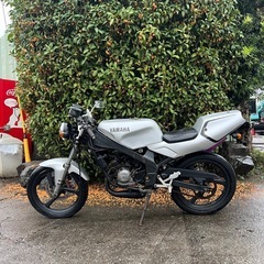 ヤマハ TZR50R TZR50の画像