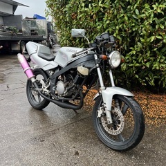 ヤマハ TZR50R TZR50の画像