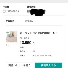 カーペット 江戸間6帖（RC02 MO）の画像