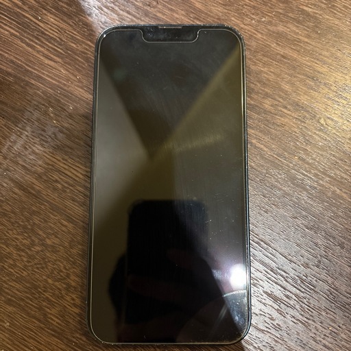 iPhone iPhone13 256GB