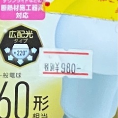 LED電球60W&ホワイトシリカ電球100W 未使用品
の画像