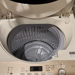 【11月末引き渡し】シャープ洗濯機1人〜2人暮らし用の画像