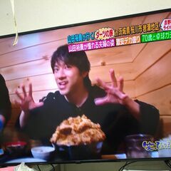 テレビ 65型 4K 液晶テレビ アイリスオーヤマ 4Kテレビ 録画機能付 65UB10PBの画像