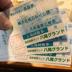 八尾グランドホテル　回数券　3枚の画像