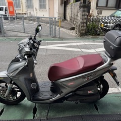 ターセリー 125の画像