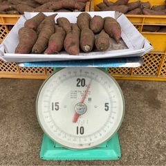 甘い◎ミニサイズ紅はるか5キロからの画像