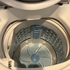 東芝 洗濯機  6kg 2021年製  の画像