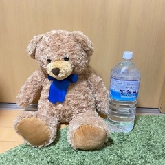 【美品】テディベア5匹セットの画像
