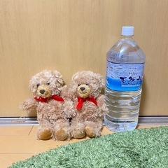 【美品】テディベア5匹セットの画像