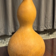 ひょうたん（瓢箪）の画像