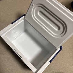 IGNIO ミニクーラーボックス 5Lの画像