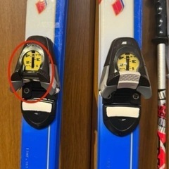 SWALLOW スワロー ジュニアスキー 130cm　ストック （ポール）ケース付きの画像