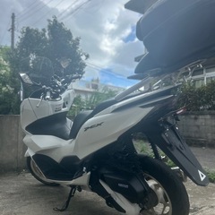 pcx jk05の画像