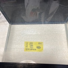 スイサク水槽
の画像